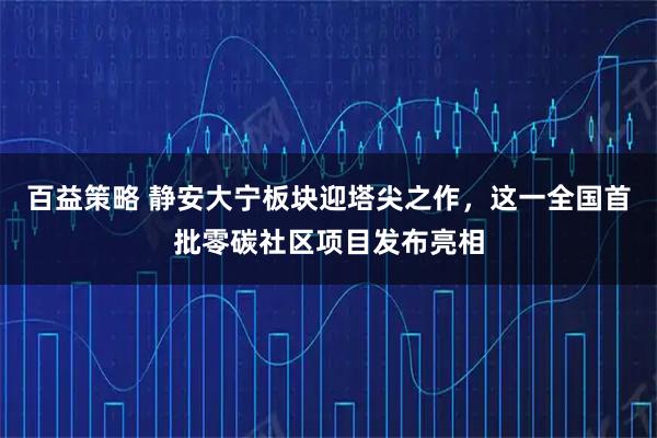百益策略 静安大宁板块迎塔尖之作，这一全国首批零碳社区项目发布亮相