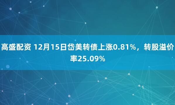 高盛配资 12月15日岱美转债上涨0.81%，转股溢价率25.09%