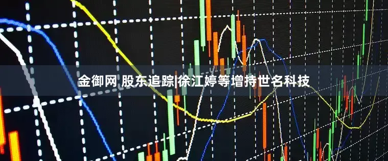 金御网 股东追踪|徐江婷等增持世名科技